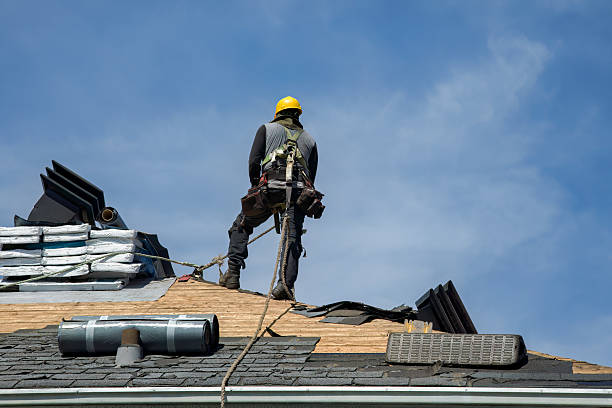 Professional Roofing technician working in Toddville, IA